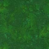 Solid-ish Kim-C6100-Green
