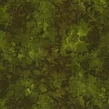 Solid-ish Kim-C6100-Moss