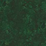 Solid-ish Kim-C6100-Seaweed