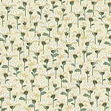 Willoughby MAS10523-E