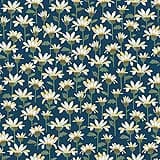 Willoughby MAS10523-N