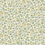 Willoughby MAS10525-W