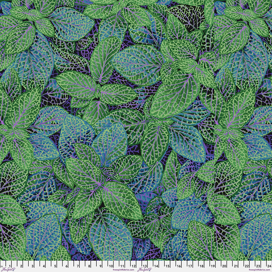 Fittonia