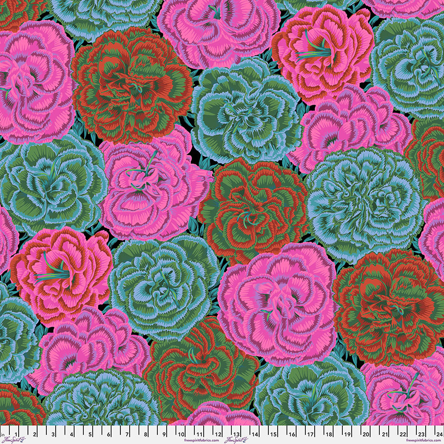 Picotee Carnations