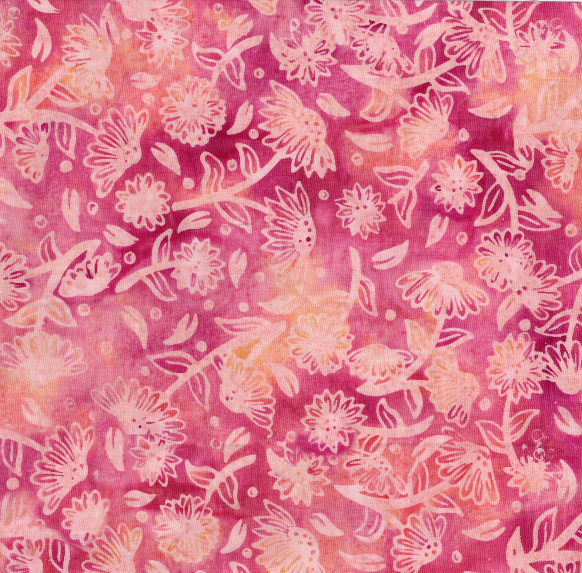 922502320 / Tossed Daisies Red Salmon