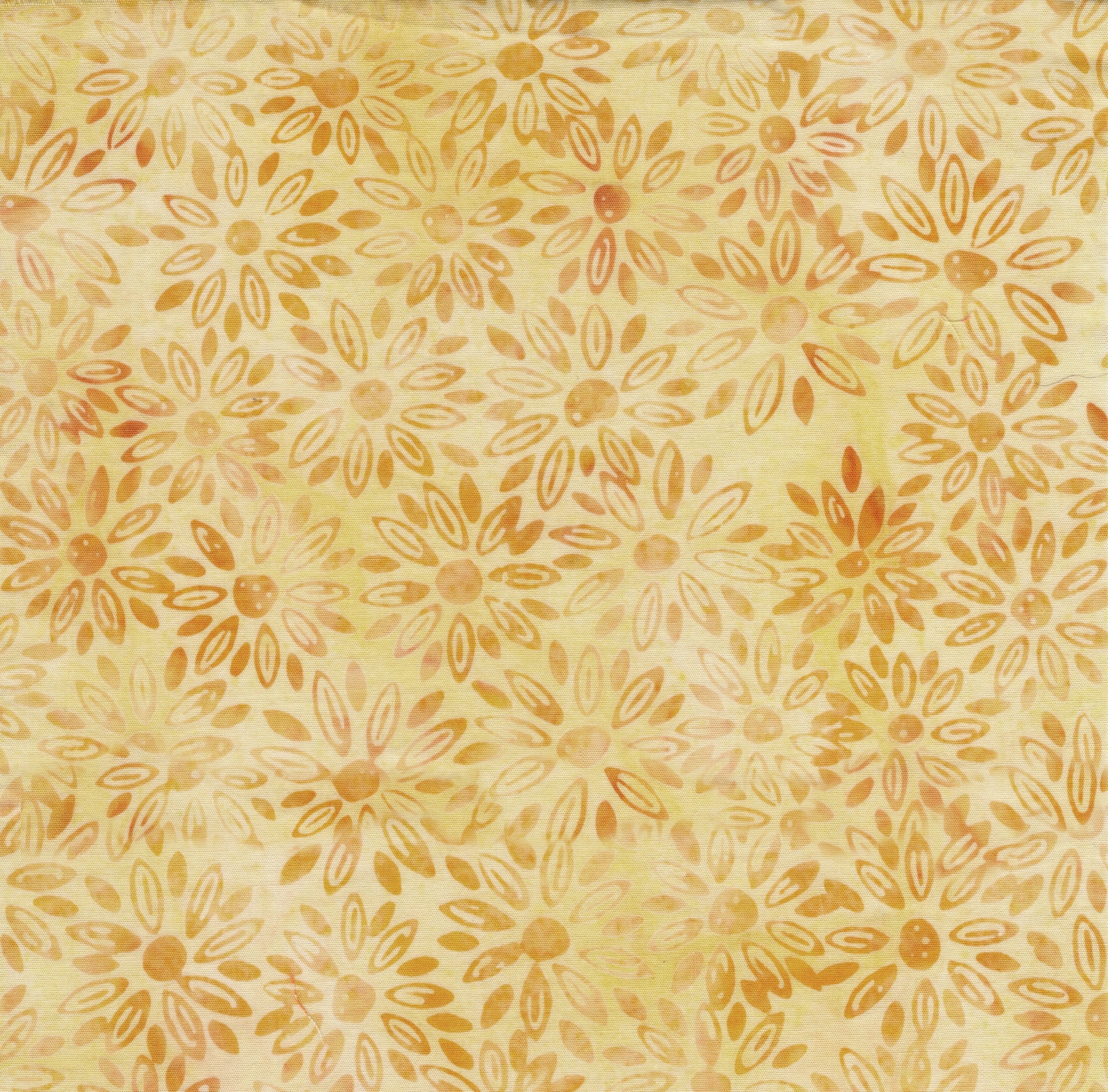 922506210 / Medium Daisies Yellow Sunny