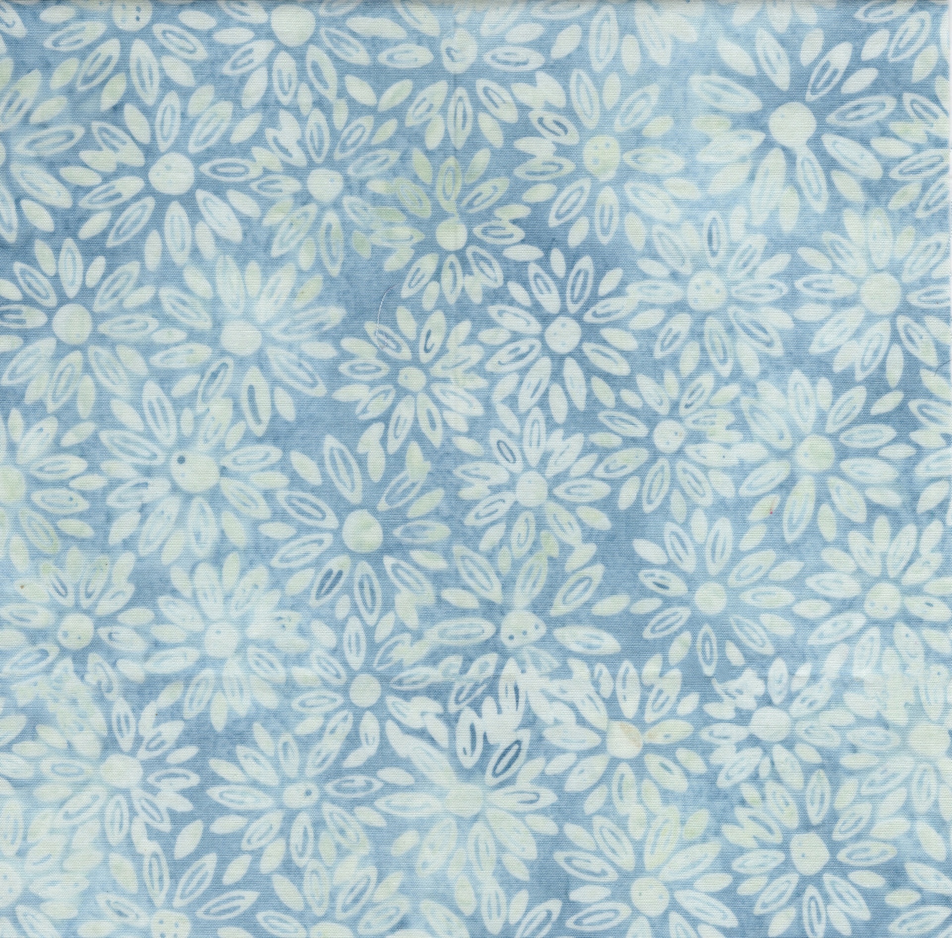 922506505 / Medium Daisies Blue Bluebelle