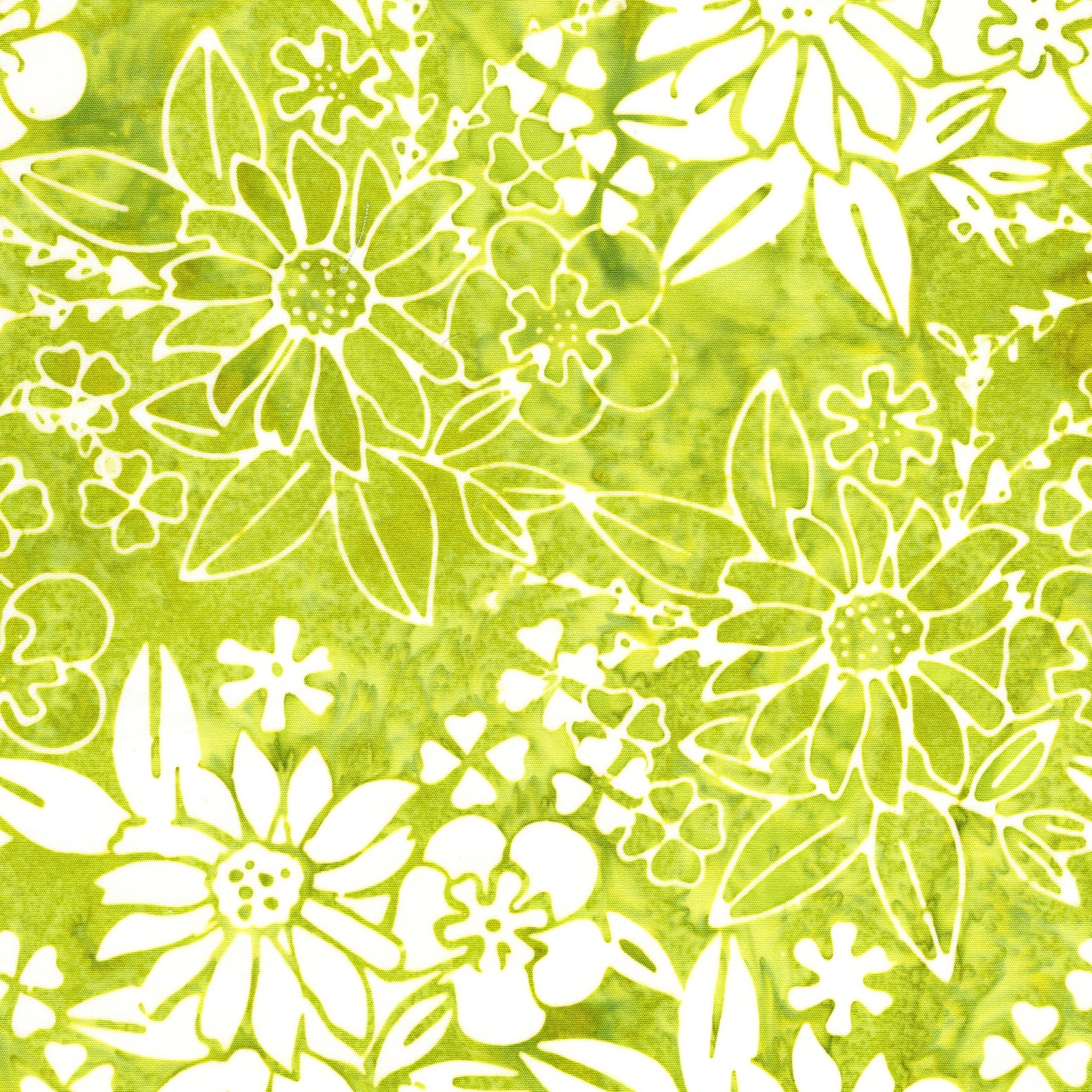 912501625 / Floral Spray-Green Seedling