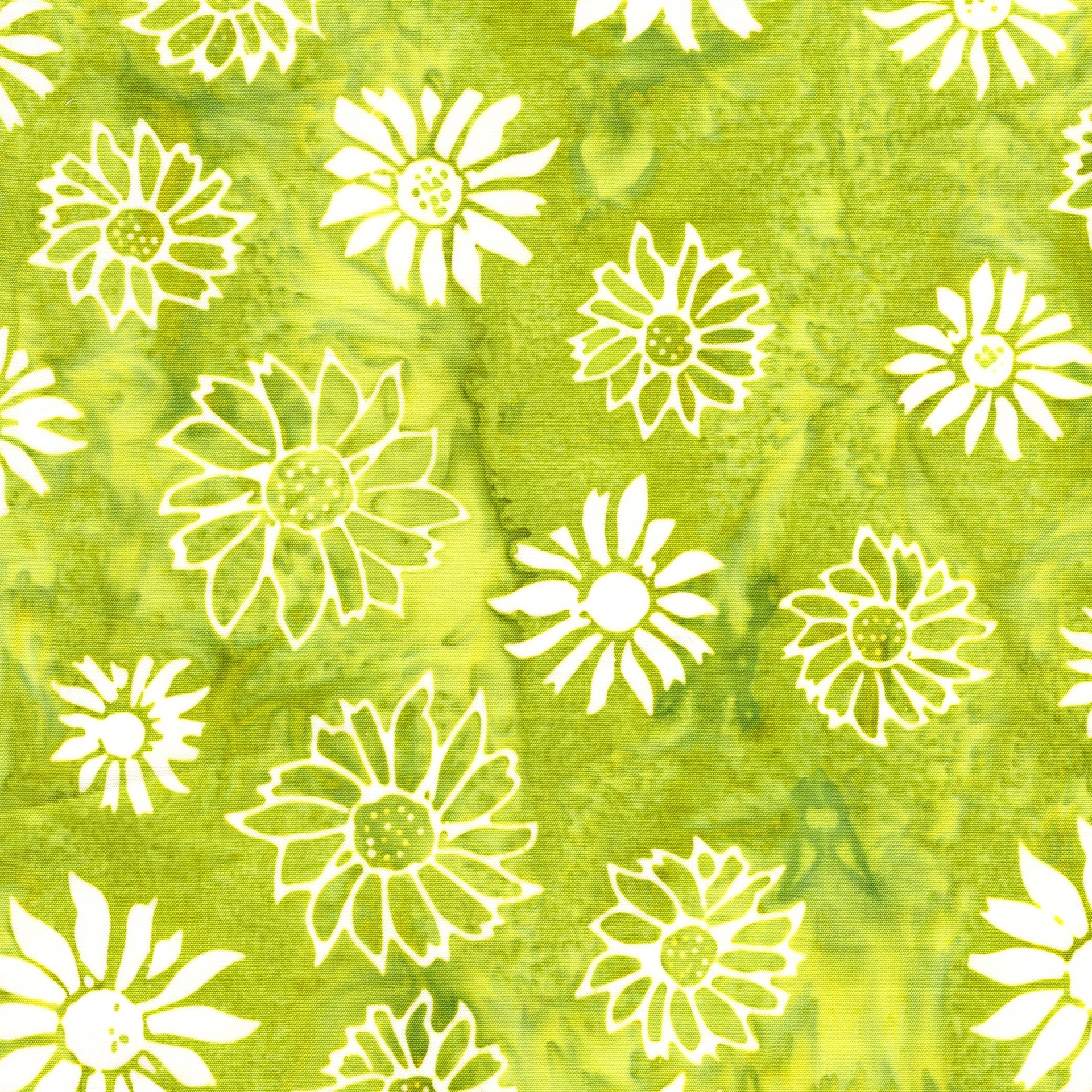 912503625 / Flower Heads-Green Seedling