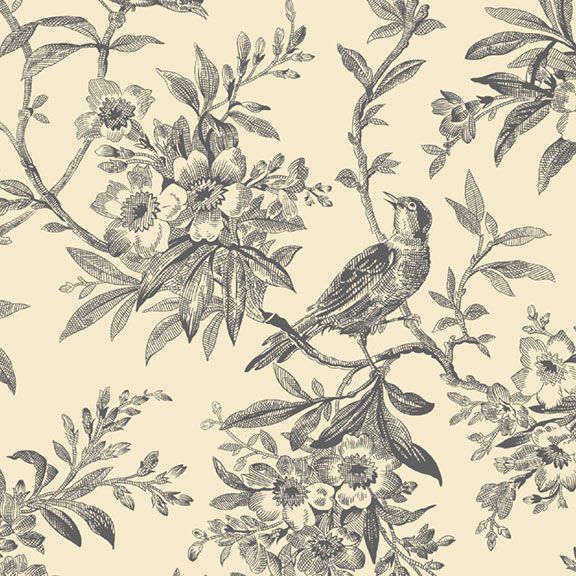 TOILE