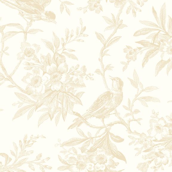 TOILE