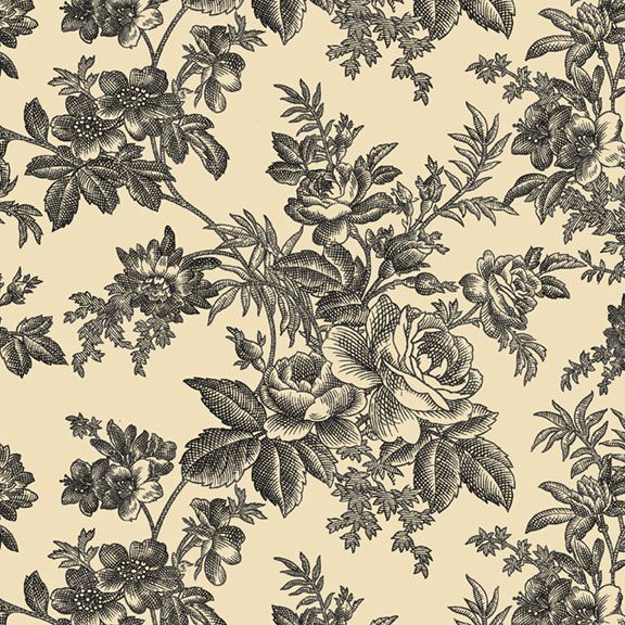 TOILE