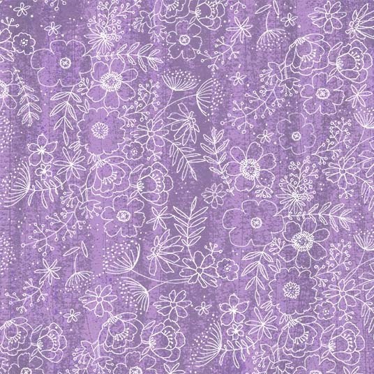 MIDNIGHT ALLIUM