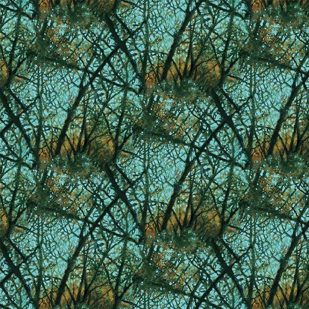FEATHERED REFLECTION