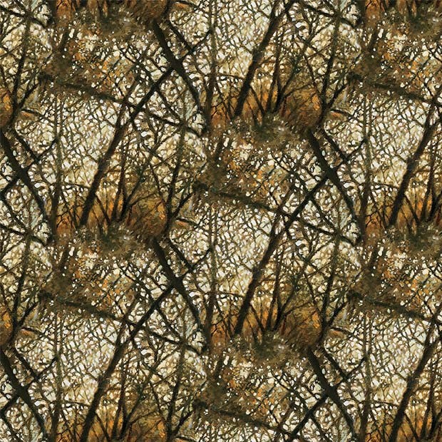 FEATHERED REFLECTION