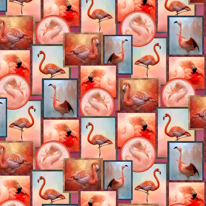 FLAMINGO TANGO