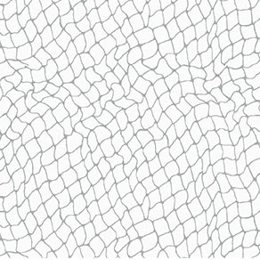 NETWORK
