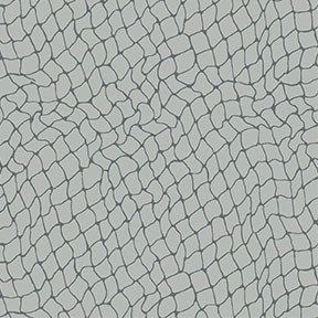 NETWORK
