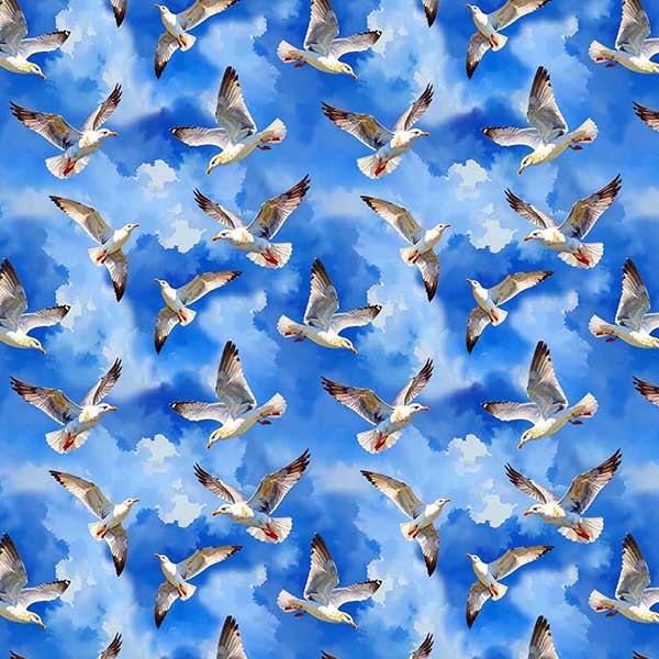 GULLS & SKY