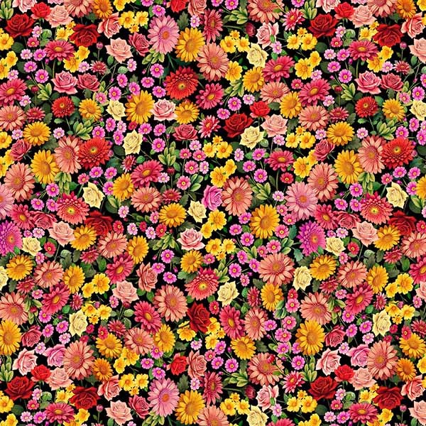 IN FULL BLOOM