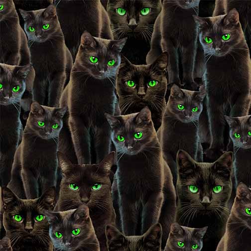 HALLOWEEN CATS