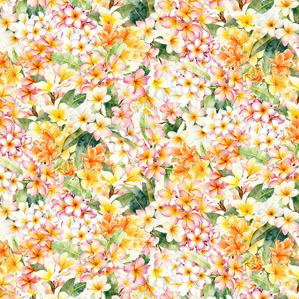 PLUMERIA BREEZE