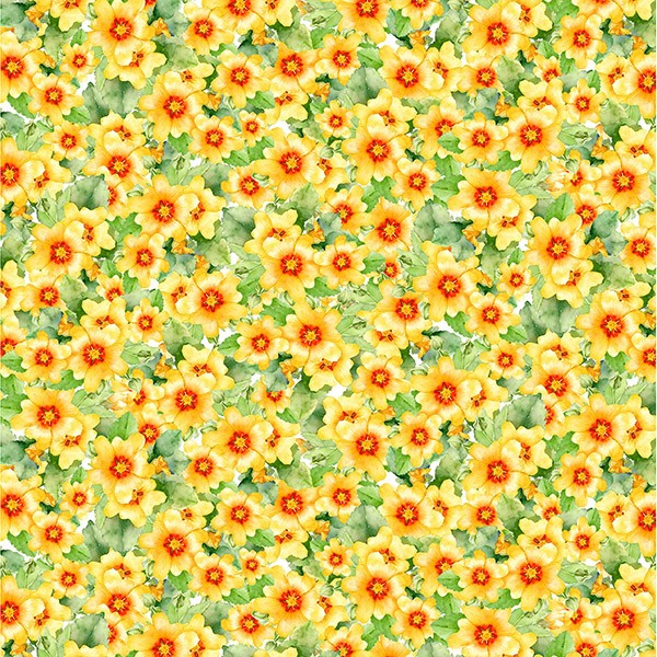 ILIMA BLOOMS