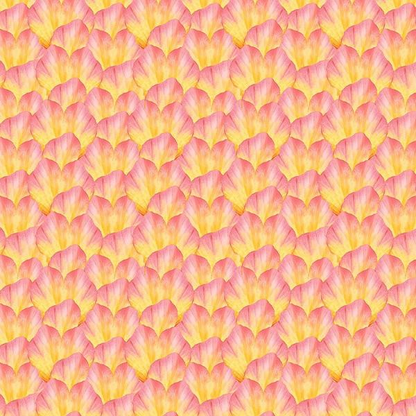 PACIFIC PETALS