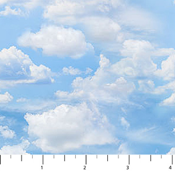 Atlantic Coast Clouds Lt Blue