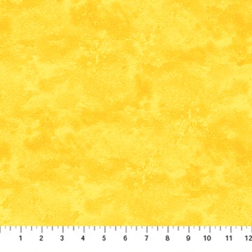 Atlantic Coast Texture Sunflower