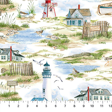 Atlantic Coast Scenic White Multi