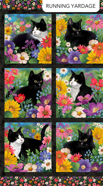 Hide And Seek Cat Blocks Black Multi