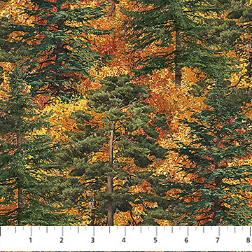 Naturescapes Autumn Woodland Trees Rust