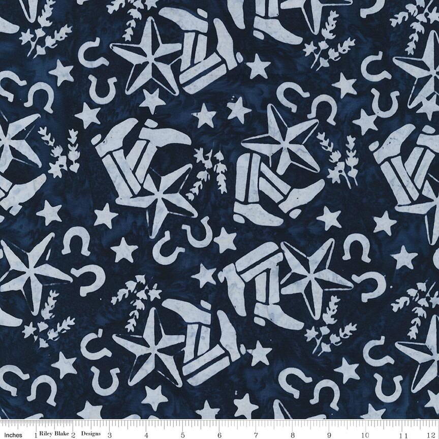 Batiks Places You'll Go Texas Moody Blues