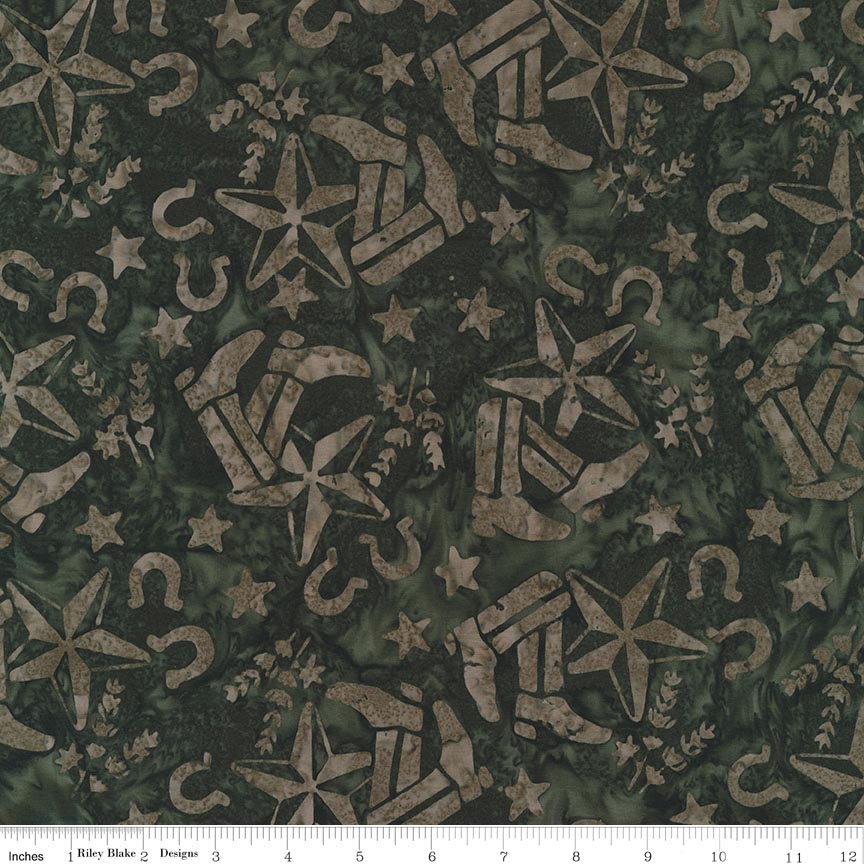 Batiks Places You'll Go Texas Juniper