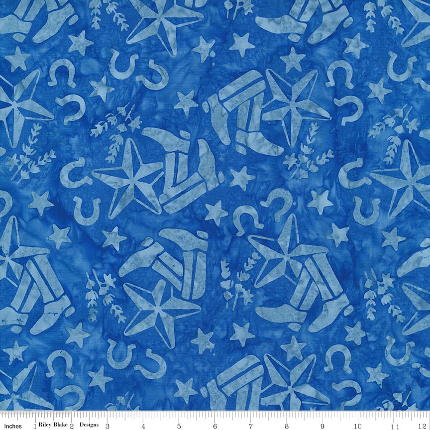 Batiks Places You'll Go Texas Rainfall