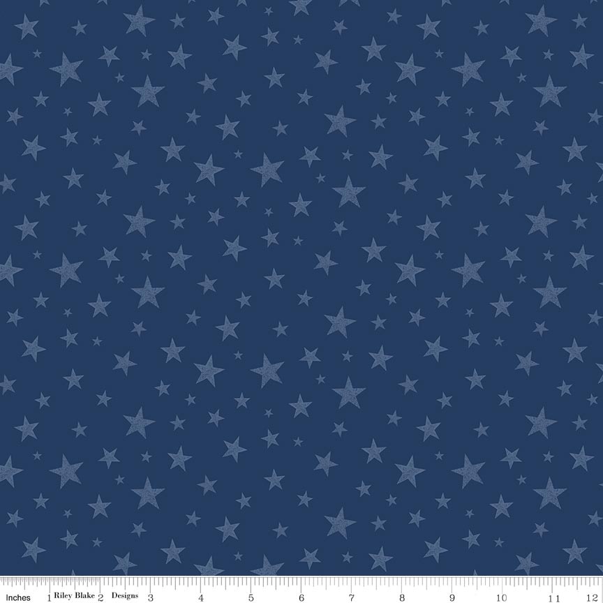 Valor Is Never Forgotten Stars Blue