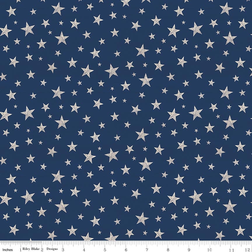 Valor Is Never Forgotten Stars Blue/Cream