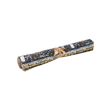 MT100P-FQR Get Out and Explore Fat Quarter - Roll