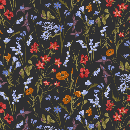 RJ4401-CH2 Ode To Poppies - Wild Meadows - Charcoal Fabric