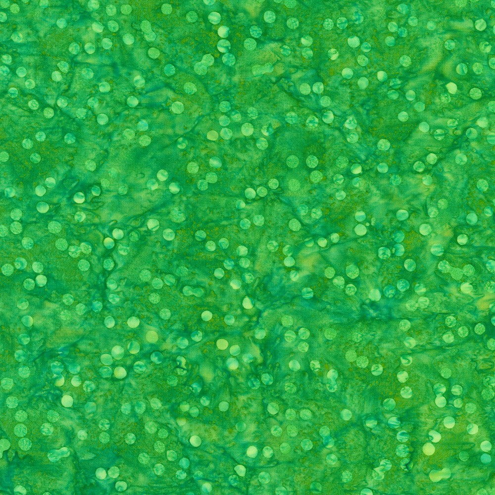 SRK-23299-47 GRASS