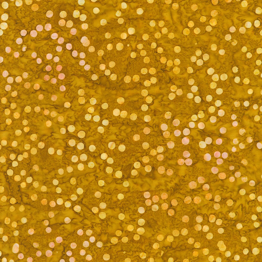 SRK-23299-479 ACORN