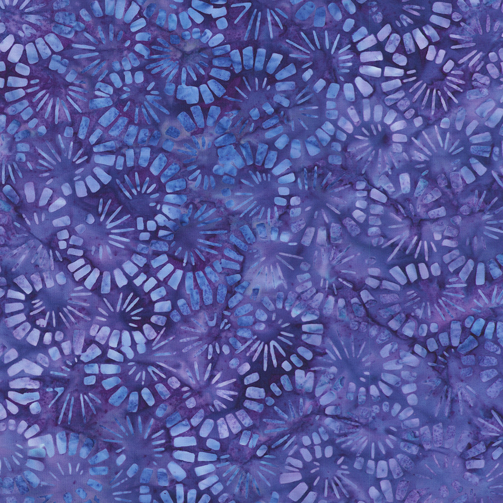AMD-23367-77 BLUEBERRY
