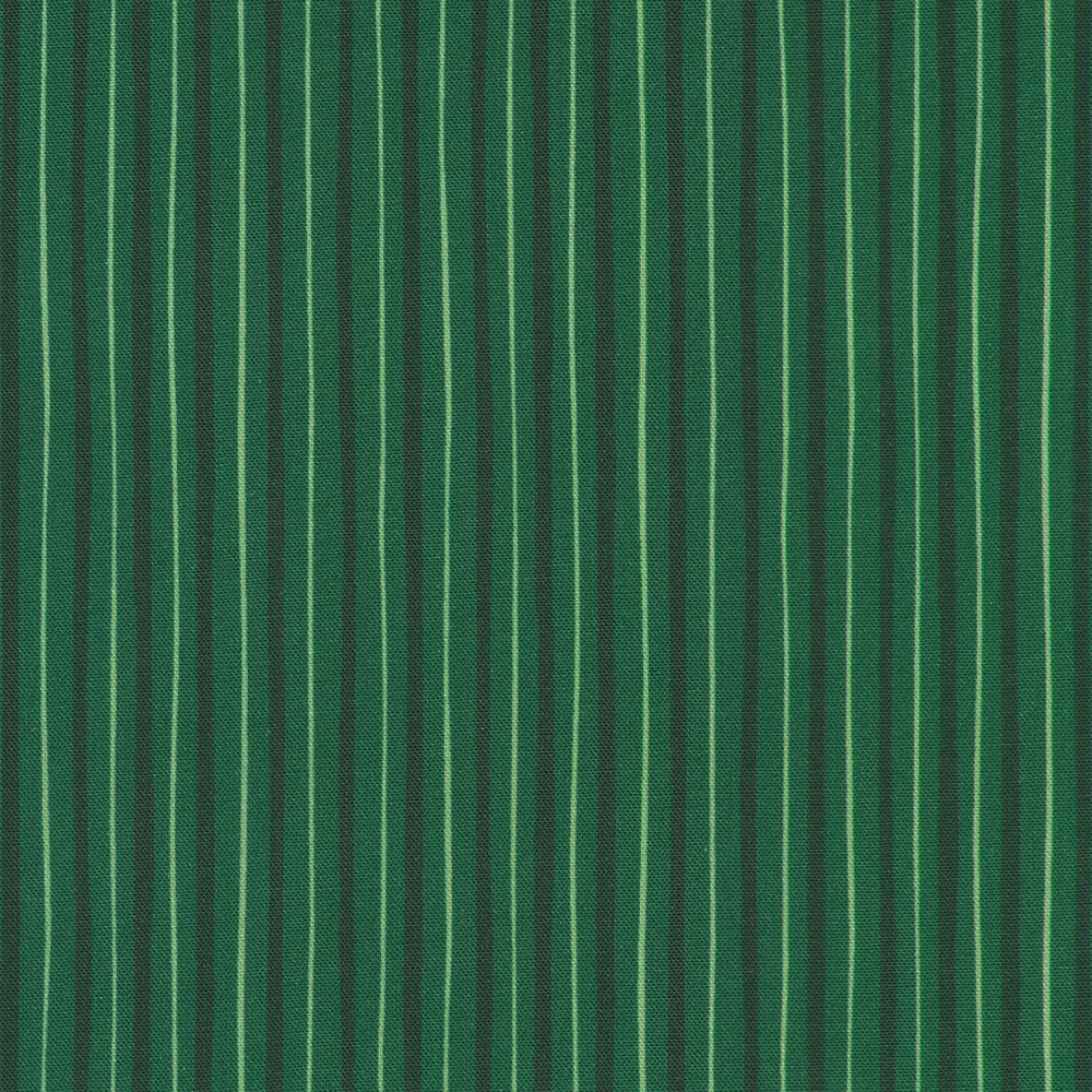 RSDD-24009-224 EVERGREEN