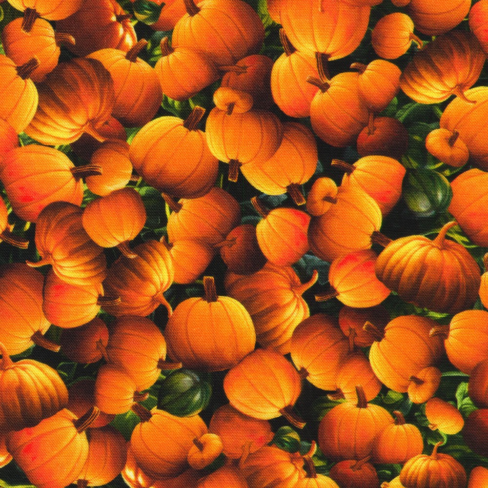 APYD-23694-148 PUMPKIN