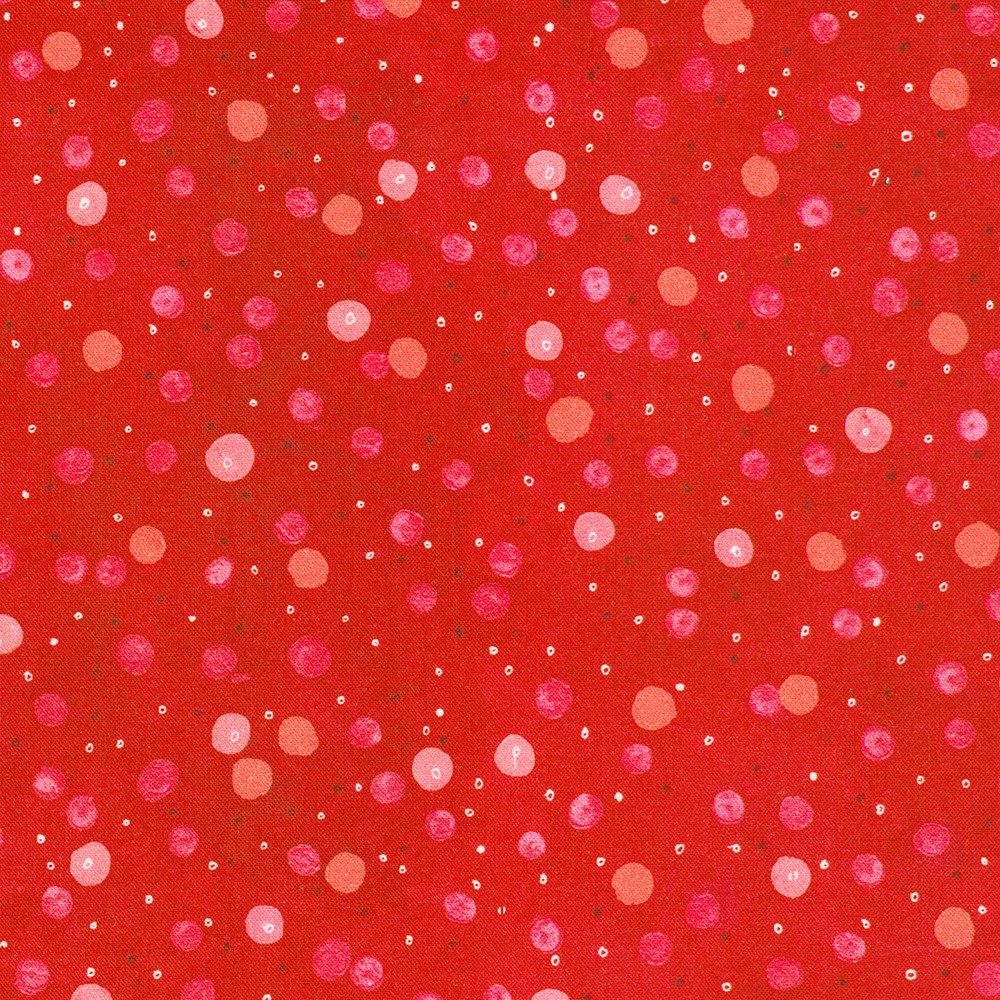 AVMD-23308-397 LADYBUG