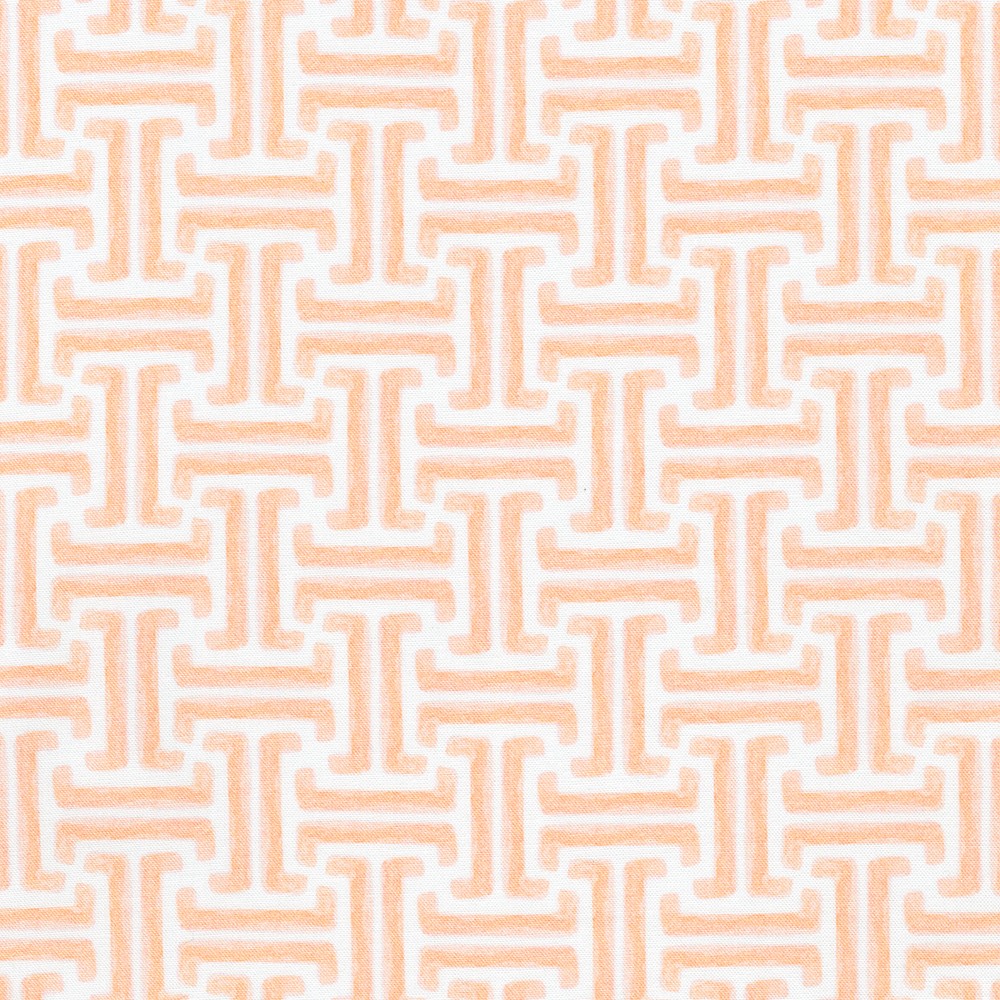 RSDD-23947-150 SALMON