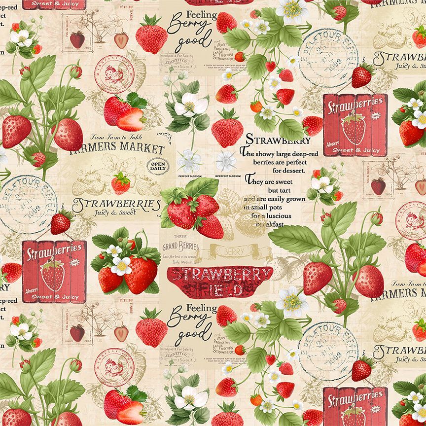 STRAWBERRIES MARKET COLLAGE