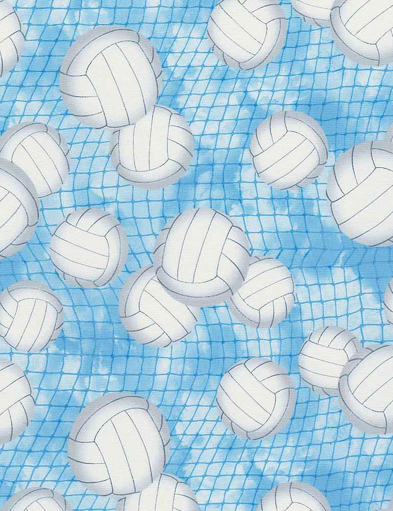 VOLLEYBALL