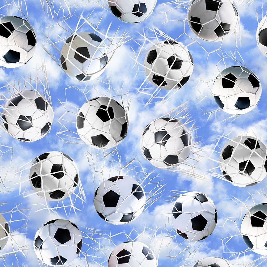 SOCCER BALLS IN NETS